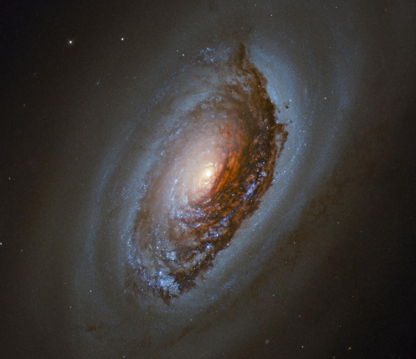 Hubble Looks at a 'Black Eye' Galaxy