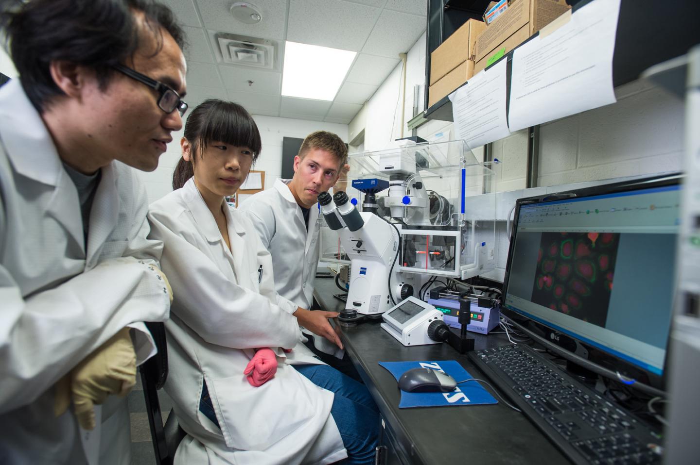 Hybrid Vehicle for DNA Vaccines
