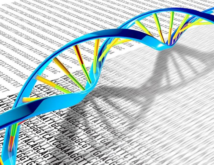 DNA