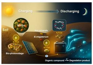 A bio-photovoltage soil-microbe battery for antibiotic degradation in the dark