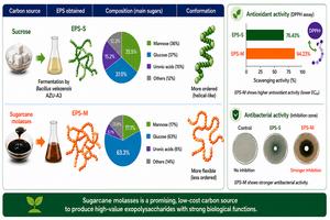 Simple diet changes help microbes produce higher-quality biomaterials