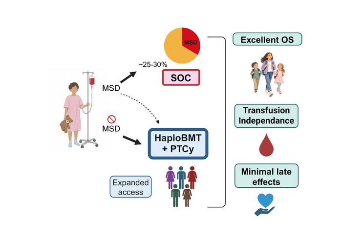 Visual Abstract