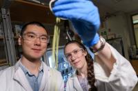 Fengyi Zhang and Emily K. McGuinness