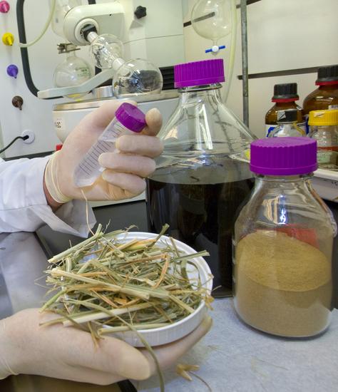 Ionic Liquids for Biofuels