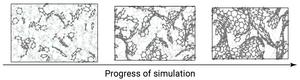 Simulation snapshots