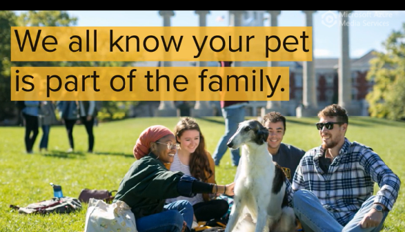 Pet passports: MU launches rabies lab for pets traveling abroad