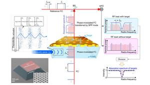 A schematic illustration of the microscale-PDMS phase modulator incorporating plasmonic nanostructures and the process of direct frequency comb spectroscopy measuring the target absorption spectrum