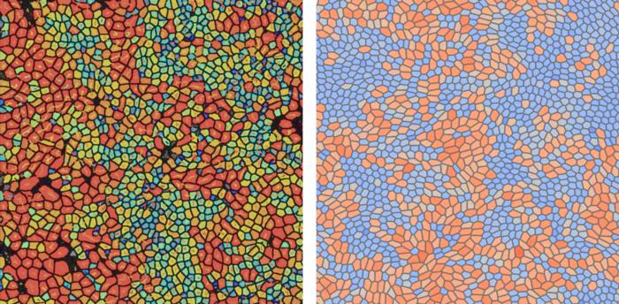 Glass-like nature of epithelial tissues