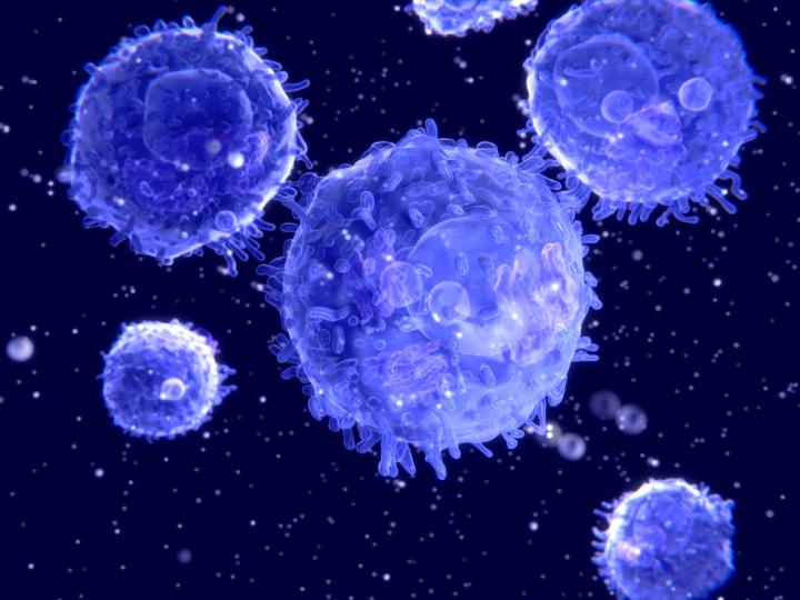 Precision Immunization (3 of 3)