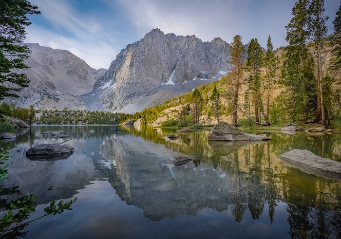 High elevation whitebark pine-dominated forest