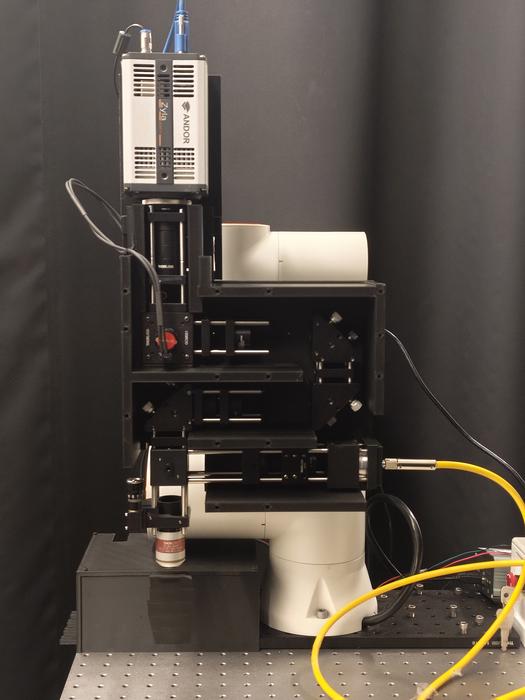 SMEAR-ULM system