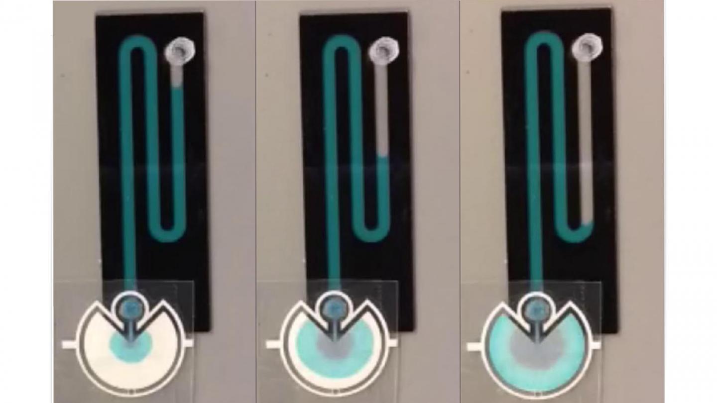 Paper Pumps Power Microfluidic Biomedical Tools