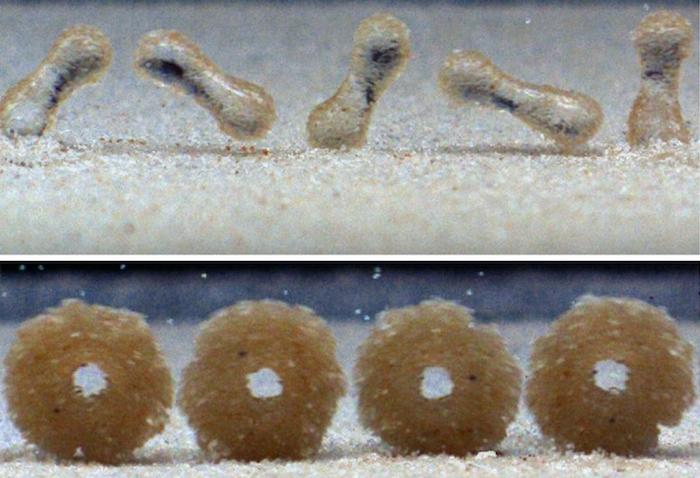 Sandballs