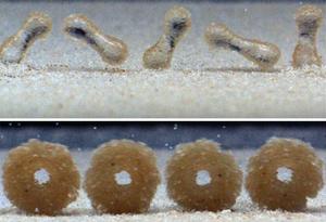 Sandballs