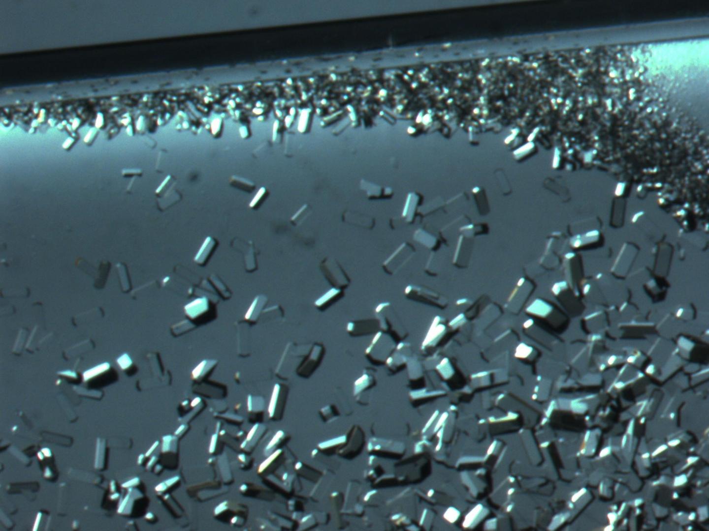 Lysozyme Crystal