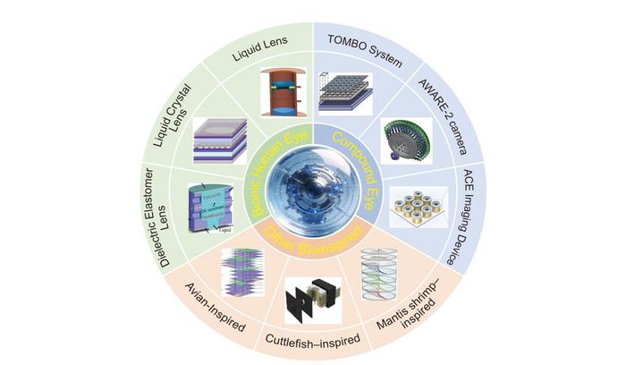 Bioinspired adaptive optical imaging technology