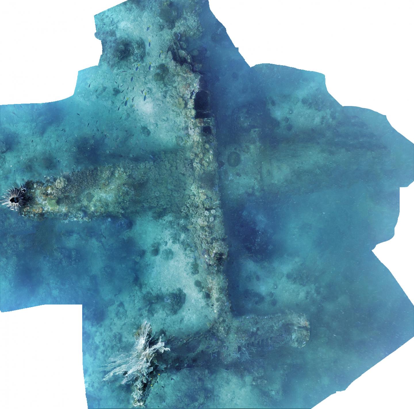 B-25 Bomber Wreck