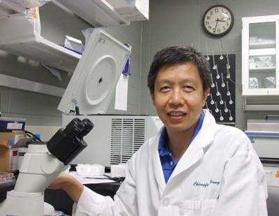 Chengfeng Yang, Michigan State University