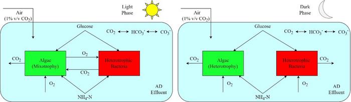 Wastewater-to-Algae Math Breaks New Ground