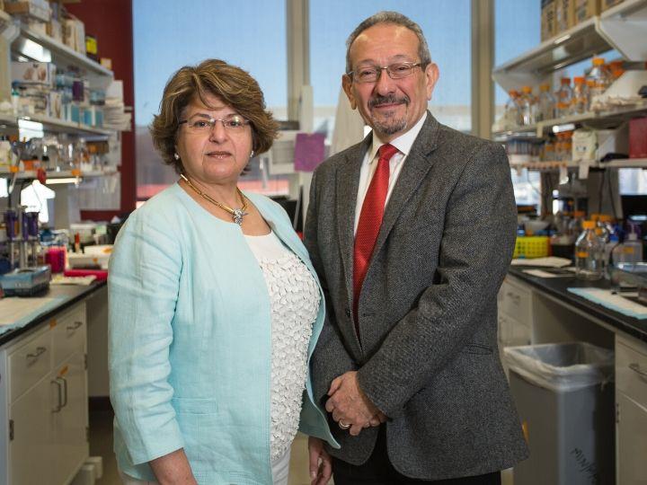 Muna Naash and Muayyad Al Ubaidi, University of Houston
