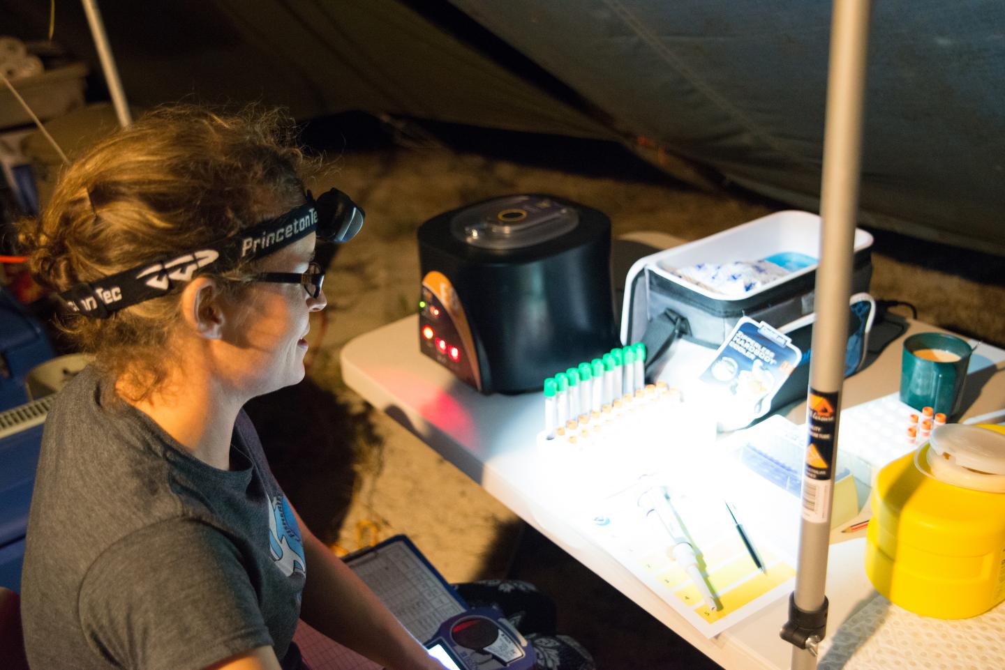 Sea Turtle Field Laboratory