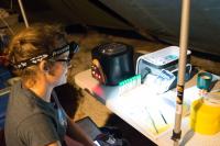 Sea Turtle Field Laboratory