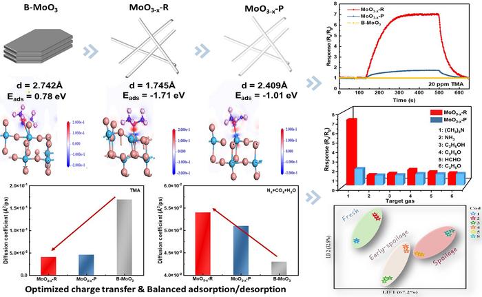 Room-temperature gas sensor based on oxygen vacancy manipulated 1D MoO3 for TMA biomarker detection