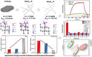 Room-temperature gas sensor based on oxygen vacancy manipulated 1D MoO3 for TMA biomarker detection