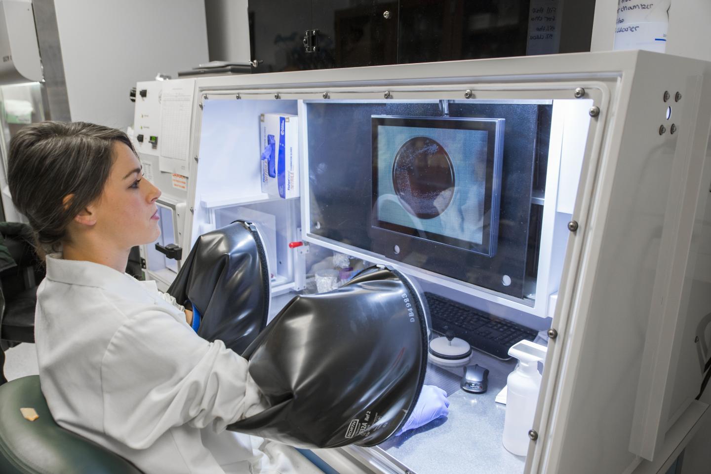 Marshall Graduate Student Lexie Blalock Working with Bacteria