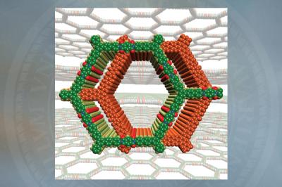 Organic Zeolite Research