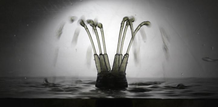 A Bath for Precision Printing of 3-D Silicone Structures