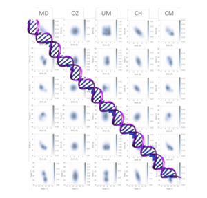 A new model predicts the flexibility of DNA movement at the molecular ...