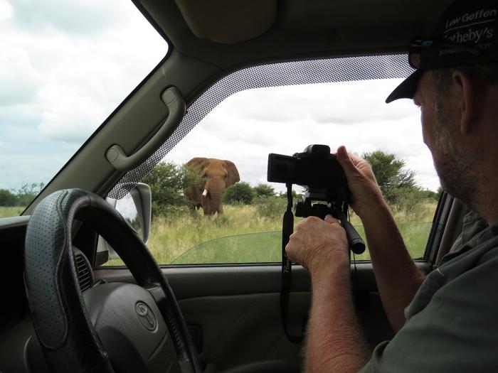 Investigating the adaptive coping mechanisms of rewilded elephants: A comparison of behavioural and physiological variables with wild elephants