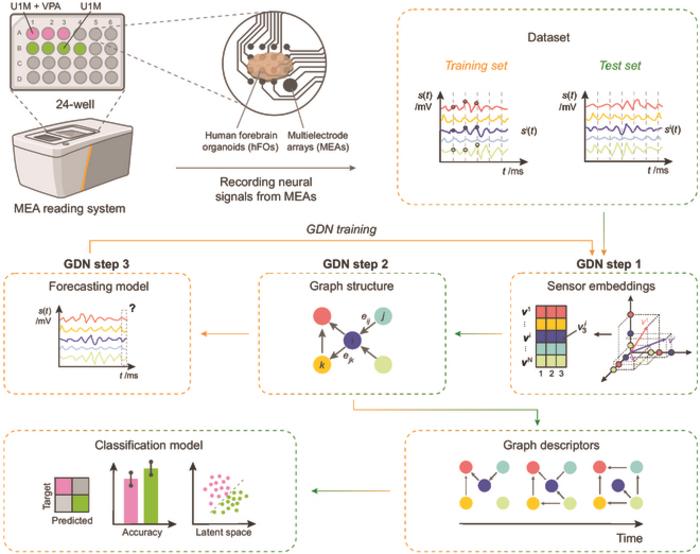 Schematic overview of the platform.