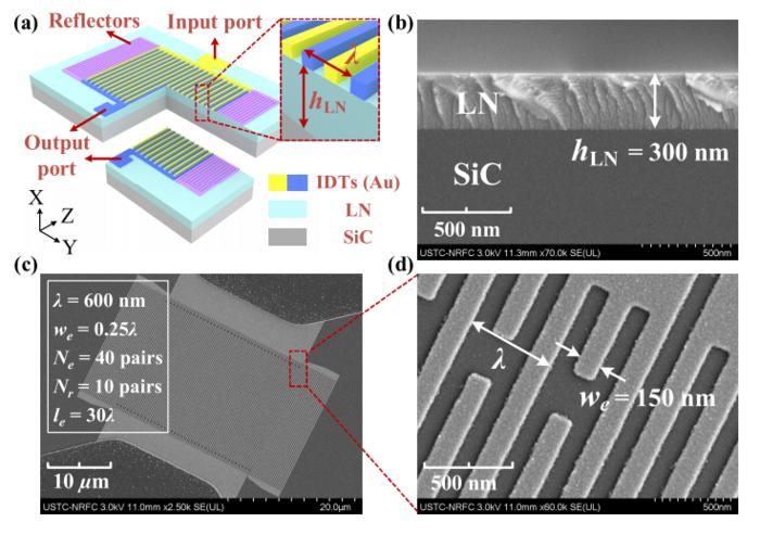 Coupled Shear SAW Resonator With High Electromechanical Coupling Coefficient of 34% Using X-Cut LiNbO₃-on-SiC Substrate