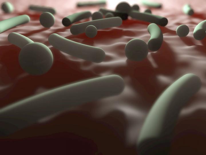 Some Antibiotics May Worsen Complications in Transplant Patients
