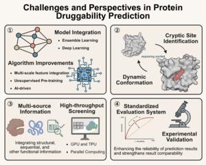 Figure 4. Challenges and future directions in the field of druggable target screening.