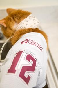 James Dean in A&M jersey