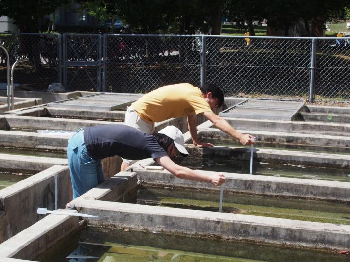 Sampling Environmental DNA