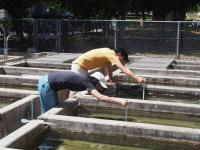 Sampling Environmental DNA