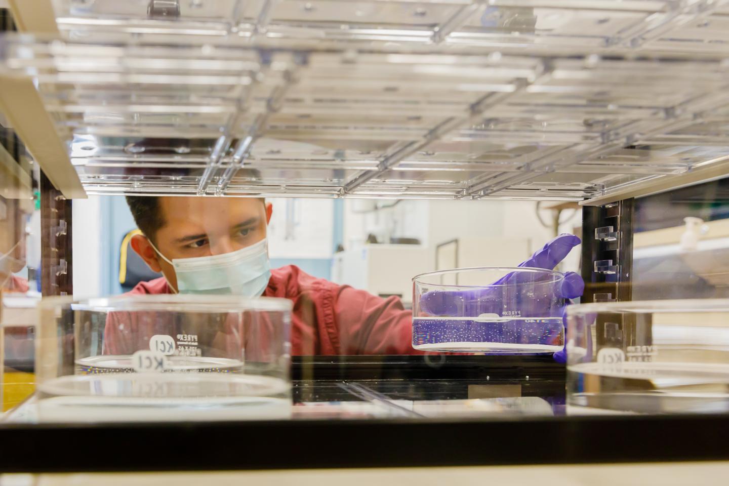 Sandia Labs, Respirator Research