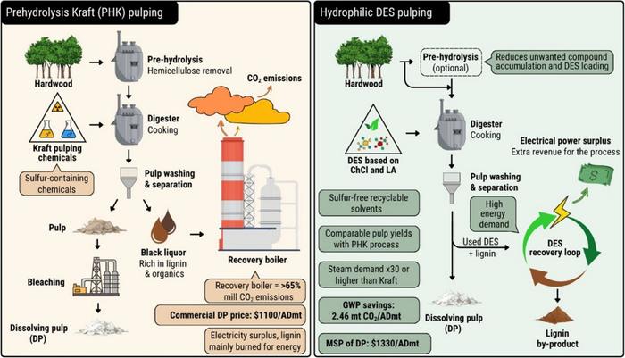 Hydrophilic Deep Eutectic Solvents Show Potential for More Sustainable Dissolving Pulp Production