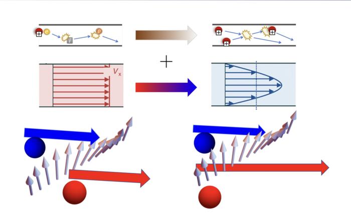 Magnons and Wiedemann-Franz law in hydrodynamics