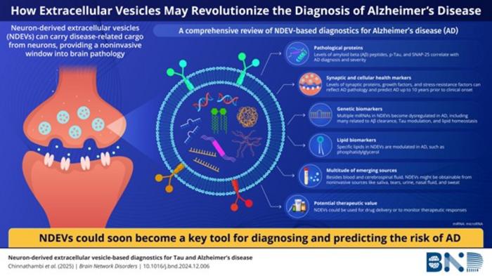 How extracellular vesicles may revolutionize the diagnosis of Alzheimer’s Disease (AD)