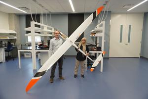 Fly Like a Bird: UTEP Engineers Seek to Translate the Mysteries of Bird Flight  into Aircraft