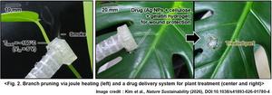 Fig. 2. Branch pruning via joule heating (left) and a drug delivery system for plant treatment (center and right)