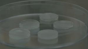 JAX In Motion - Hydrogel Skin Patch