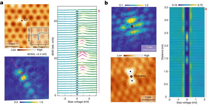 Researchers Observe Exotic Quasiparticle States in Kagome Superconductor CsV3Sb5