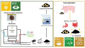 Smart waste-derived materials for feed application: chestnut shells and vine pruning biochar