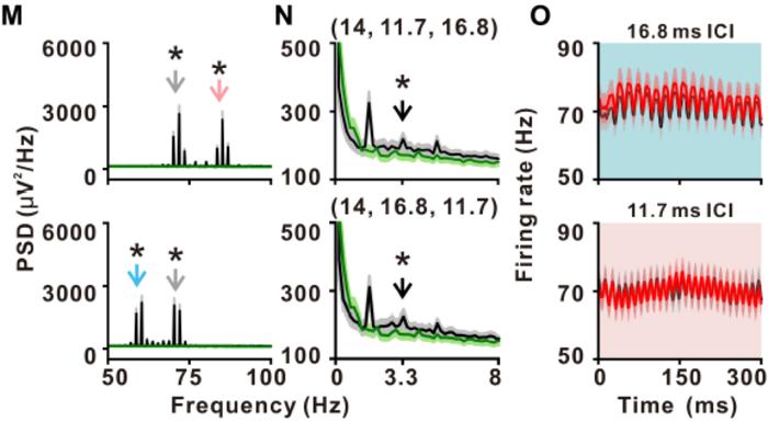 图3-3 猕猴MGB群体神经元对三个层级时间信息的处理